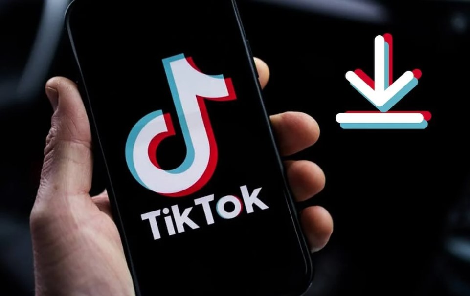 Snaptik công cụ xoá ID Tiktok