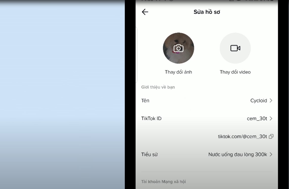hồ sơ cá nhân Tiktok