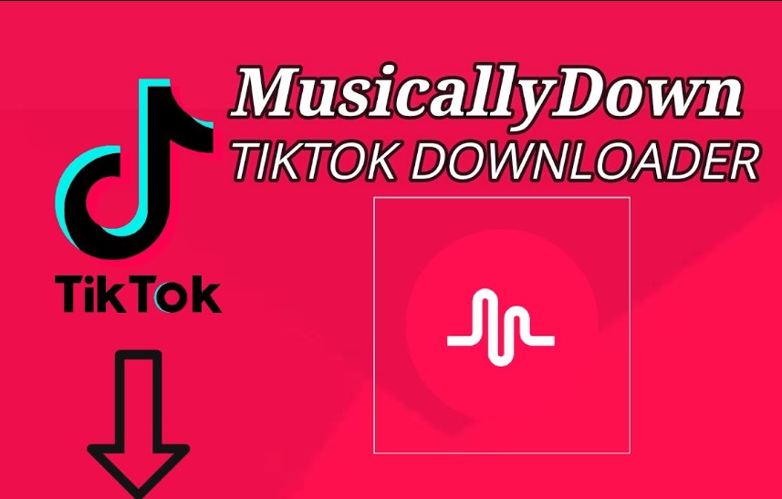 tải clip tiktok không logo