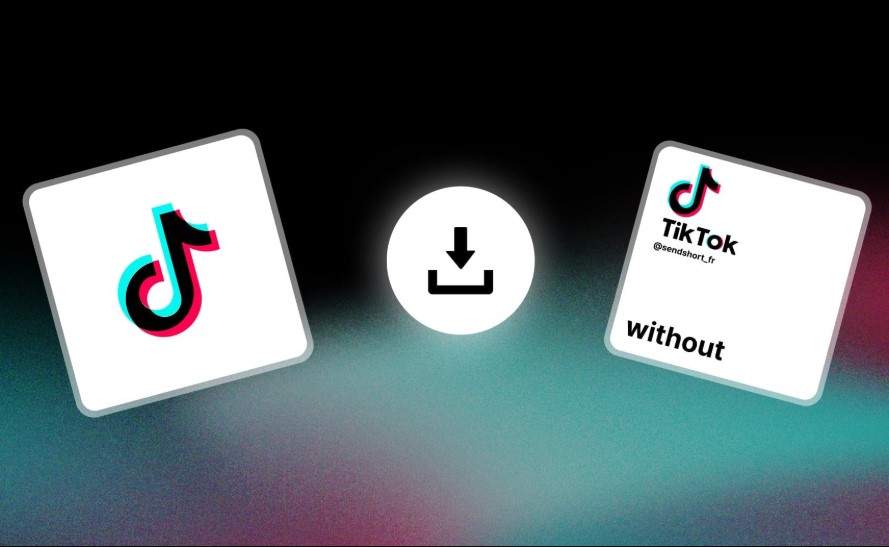 cách tải video riêng tư không logo