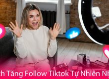 cách tăng follow cho Tiktok